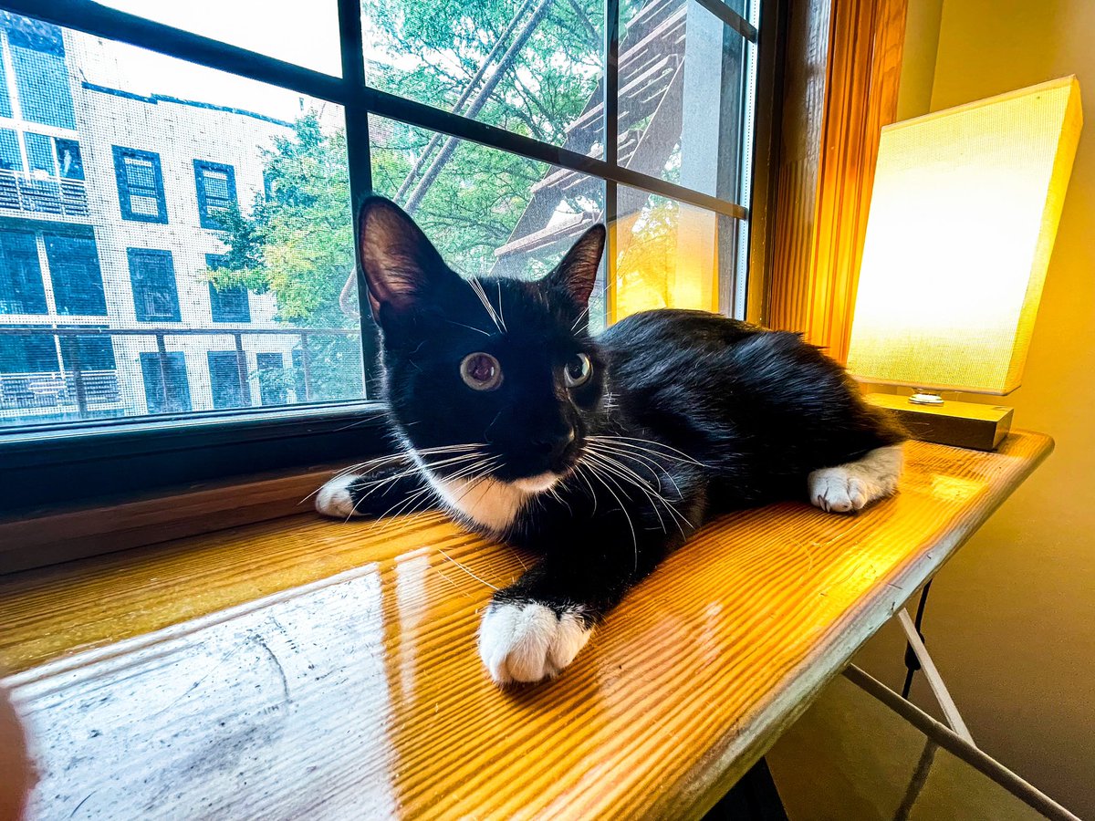 Paul Murray tweet media