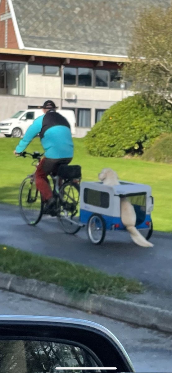 Når du blir tvingt med på søndagstur...