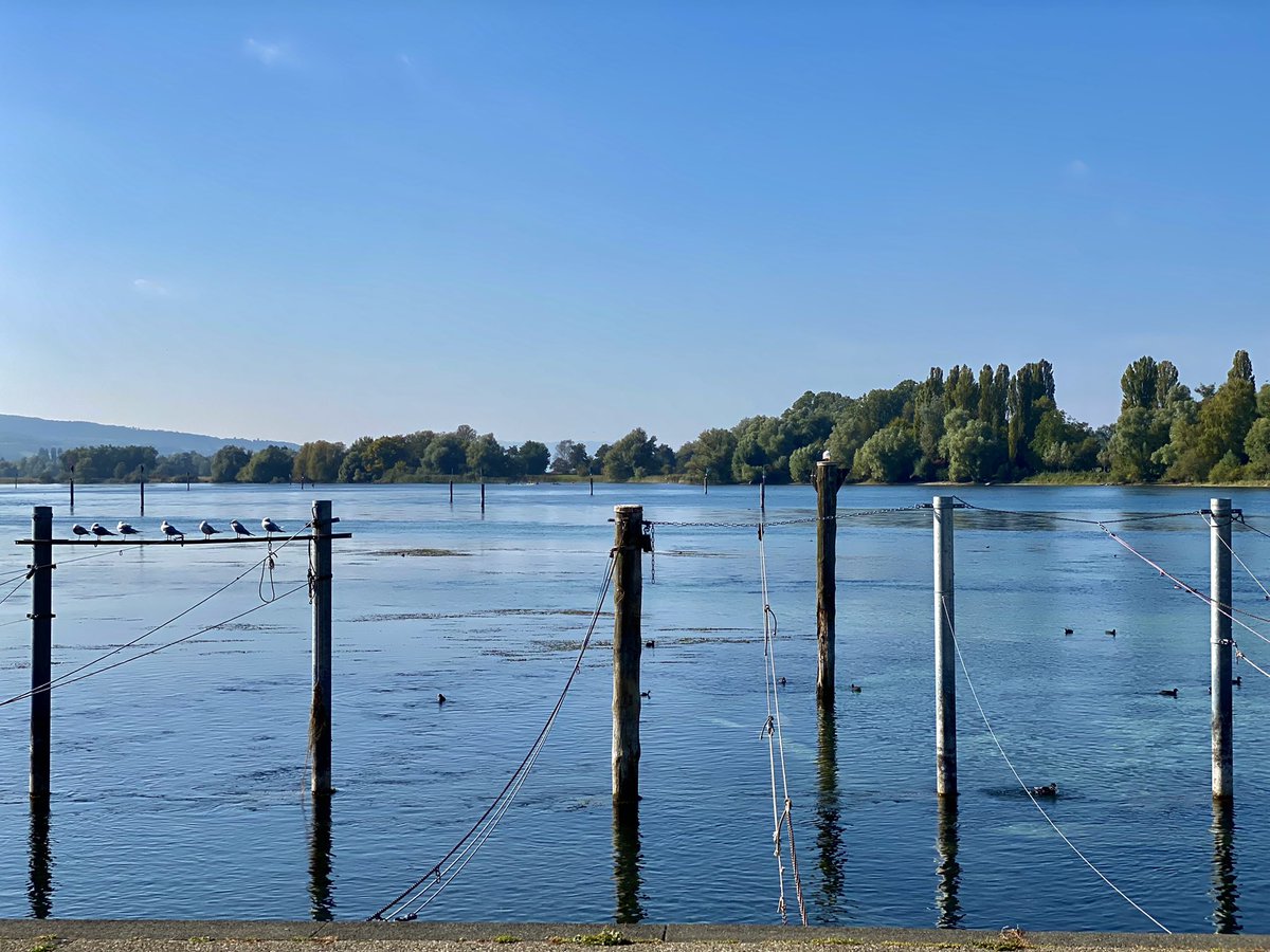• #Konstanz heute ... Natur • Macht • Sonntags • Bilder •