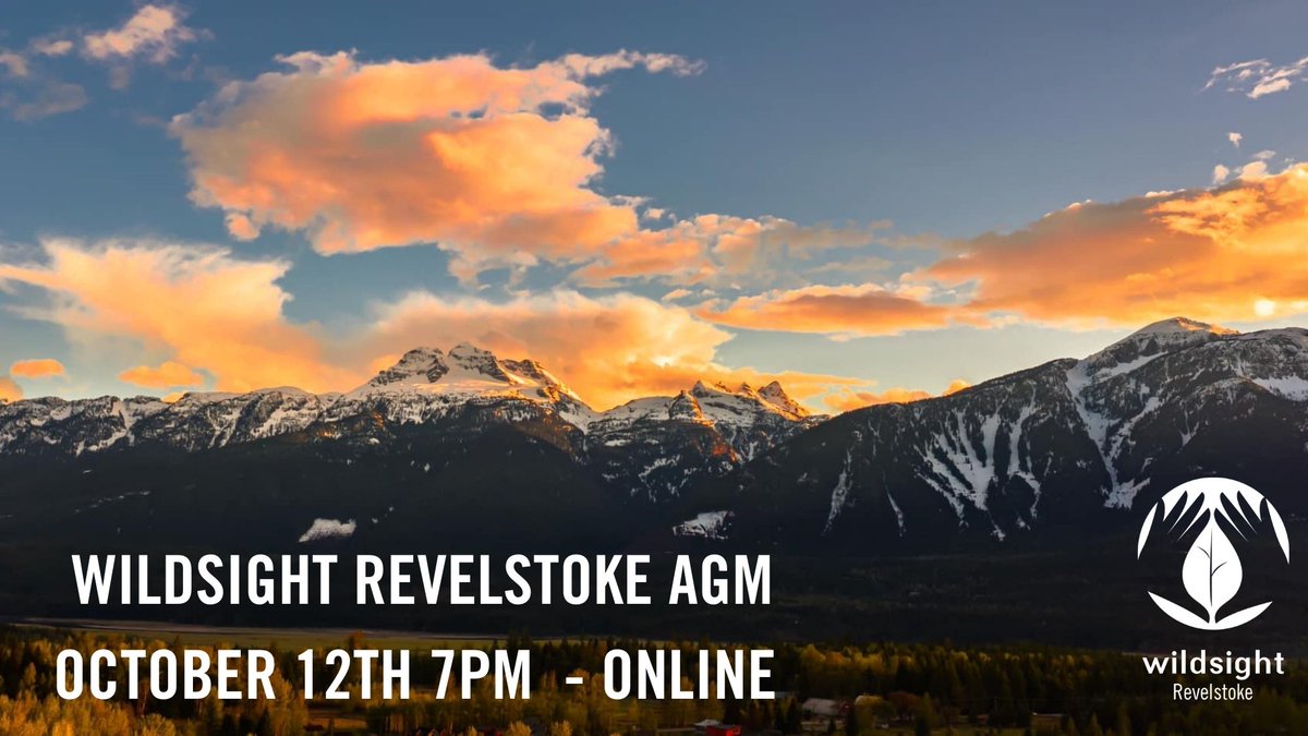 WildsightRevy's tweet image. Please join Wildsight Revelstoke  for our first Annual General Meeting on October 12th at 7pm on Zoom.

If you are interested in joining our board, please contact our Branch Manager, Jade Harvey-Berrill at revelstoke@wildsight.ca

Register here👇
secure.wildsight.ca/civicrm/event/…