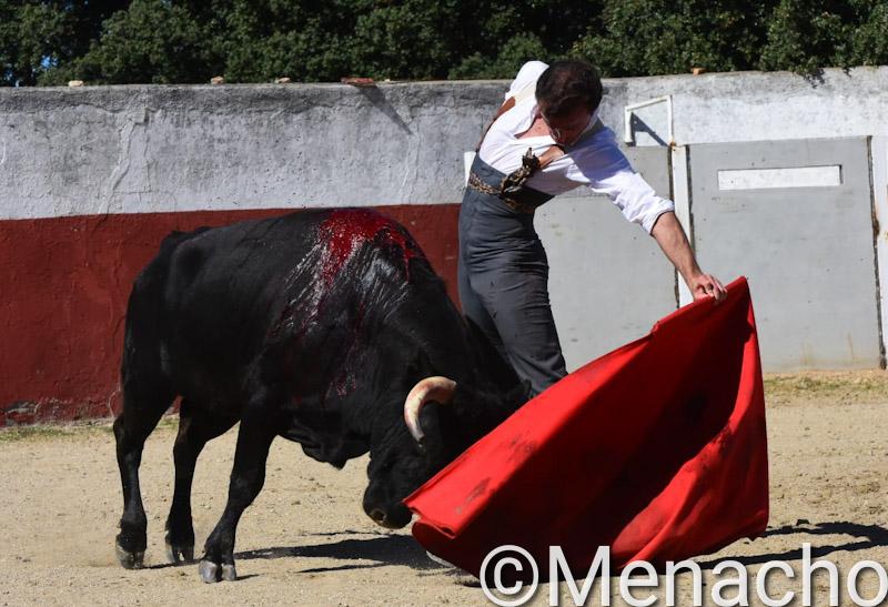 objetivoeltoro's tweet photo. Importante y bravo tentadero de machos con los #santacoloma de #PilarPoblacion a cargo de los hermanos #Castaño preparando su compromiso del próximo 16 en #AlbadeTormes https://t.co/5dVGbLtdUJ