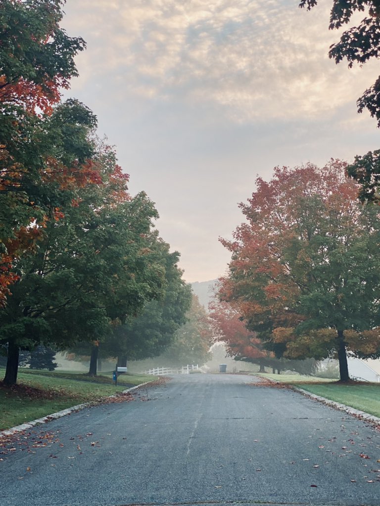 From the leaves we must learn
The grace of letting go…
To dress in joyful brilliance 
and all the colorful glory
Only to kiss its final goodbye
.. in the hope of another spring! #fall #poetry #poetrylovers #poetrycommunity #autumn #lettinggo