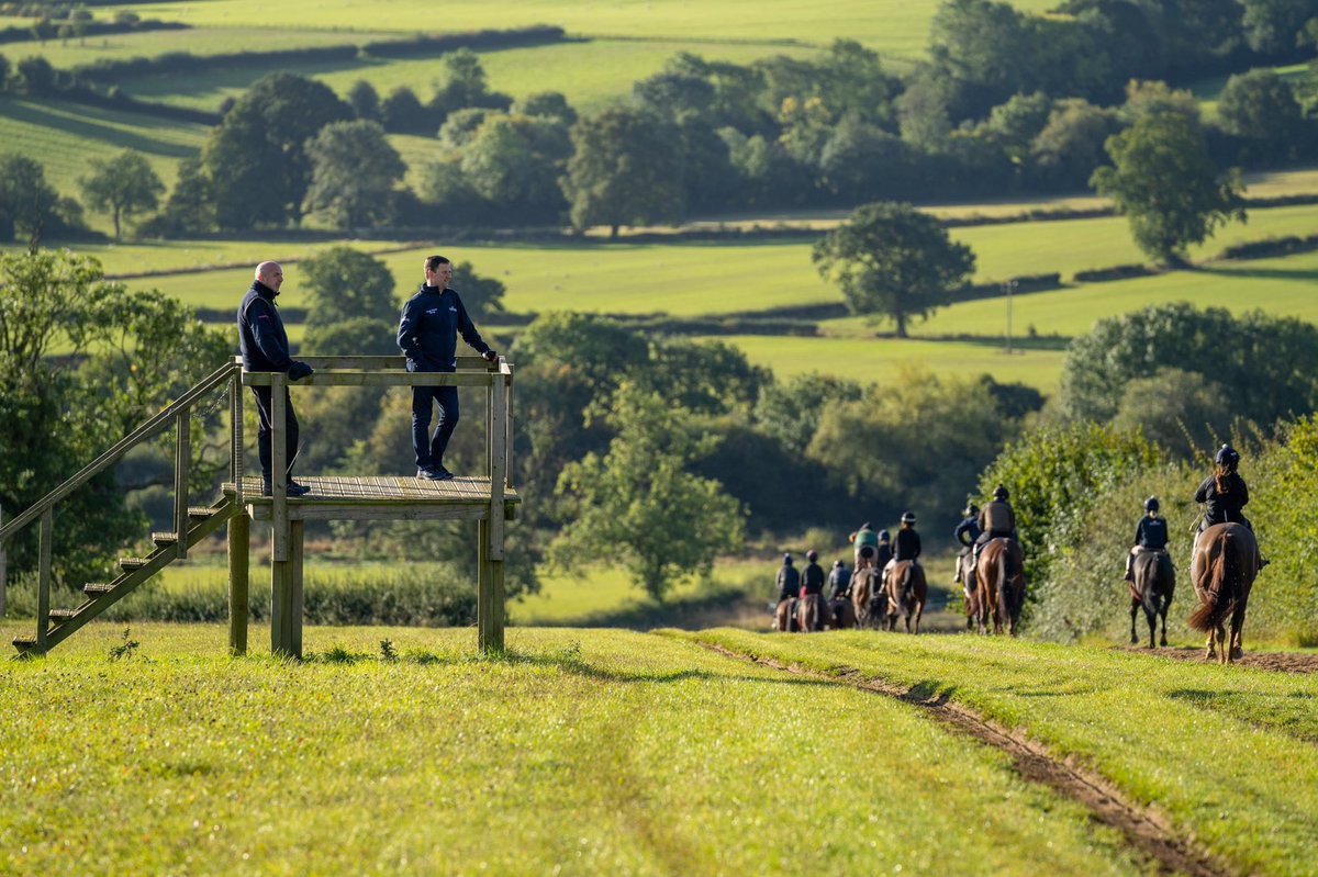 FOBRacing's tweet image. Life is tough and it’s been even tougher over the past 18 months 

If your mental health would be improved by a visit to Ravenswell Farm or Martins Hill, please get in touch. Happy to help if we can 

#WorldMentalHealthDay