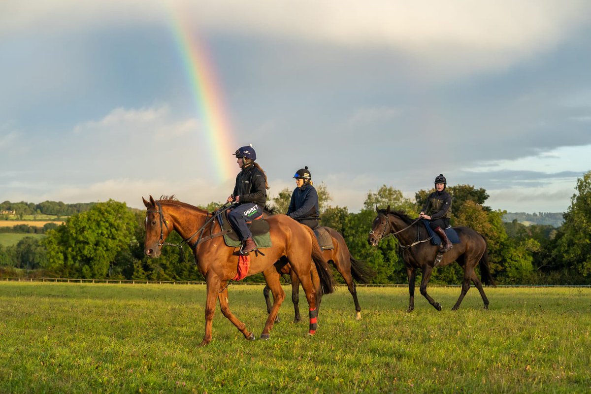FOBRacing's tweet image. Life is tough and it’s been even tougher over the past 18 months 

If your mental health would be improved by a visit to Ravenswell Farm or Martins Hill, please get in touch. Happy to help if we can 

#WorldMentalHealthDay