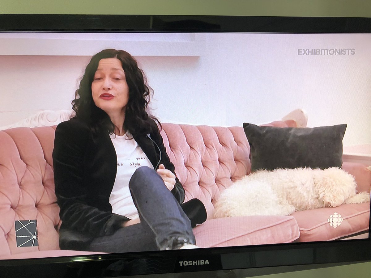 Dog or fashionable toss cushion?? 🤔