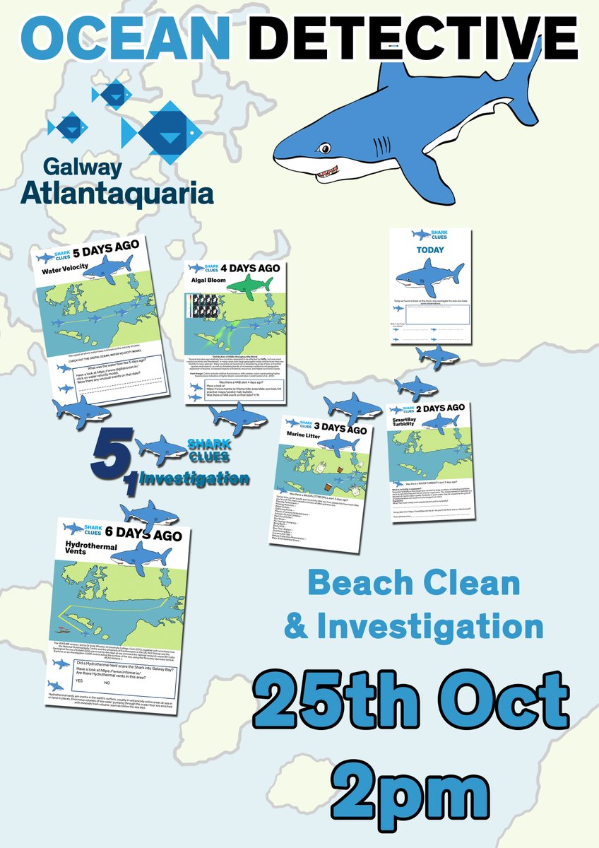 GalwayAquarium's tweet photo. #oceandetective Mid-Term mystery book here; https://t.co/ycSfEcgVMx
Detective notes here; https://t.co/EIGPneE0wN
@CleanCoasts beach clean! https://t.co/YDmReg4bHg