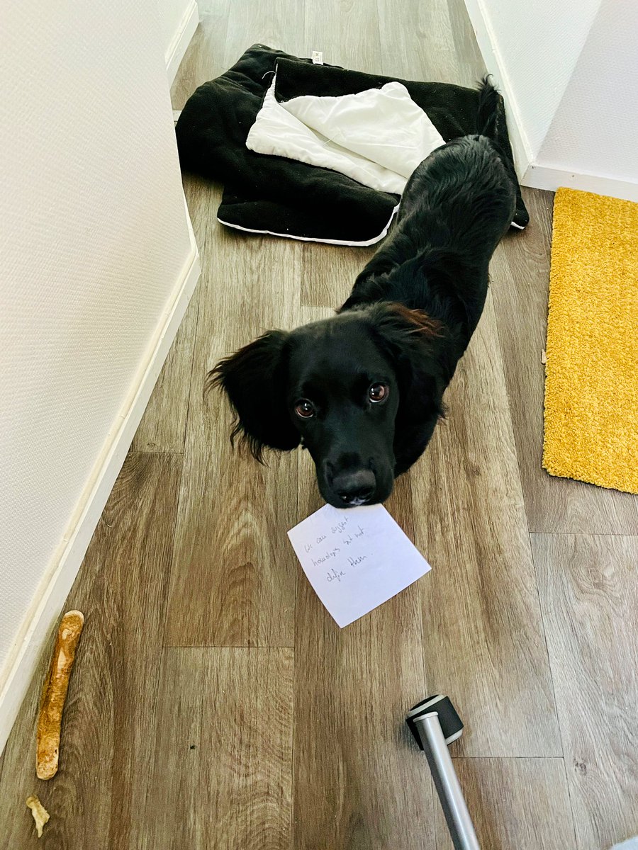 StephForkel's tweet photo. #Inspiration can come from anywhere on this grant writing Sunday! Right now from a visitor to my #office: ‘we can suggest #homologous areas but not define them’ #thanks #randominput #littlehelper #WFH https://t.co/heT5xzlRwf