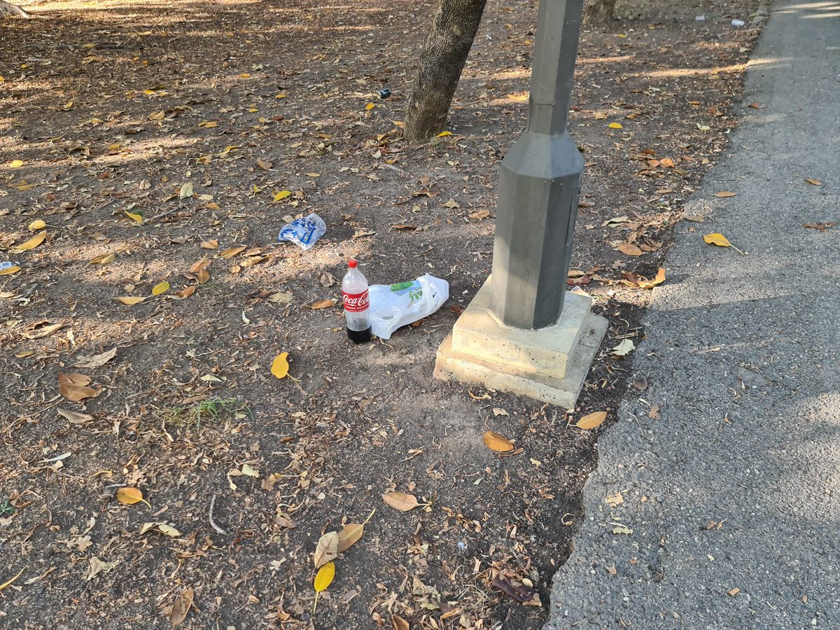 PPAytoSevilla's tweet photo. El parque de Los Príncipes y el de María Luisa han amanecido hoy, tras la noche del sábado, con restos de botellones y suciedad. La falta de vigilancia y prevención están causando estragos en las zonas verdes de la ciudad. Sevilla no merece este abandono 🤦🏻#EspadasNoEstá. https://t.co/Hmx3gnwwsw