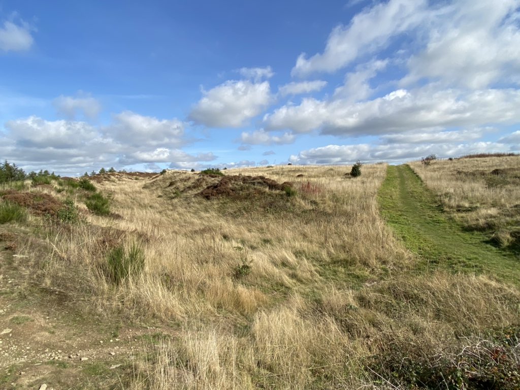 Bury Ditches - Iron Age hill fort

#shropshire 
#clun
#bishopscastle 
#hillfort