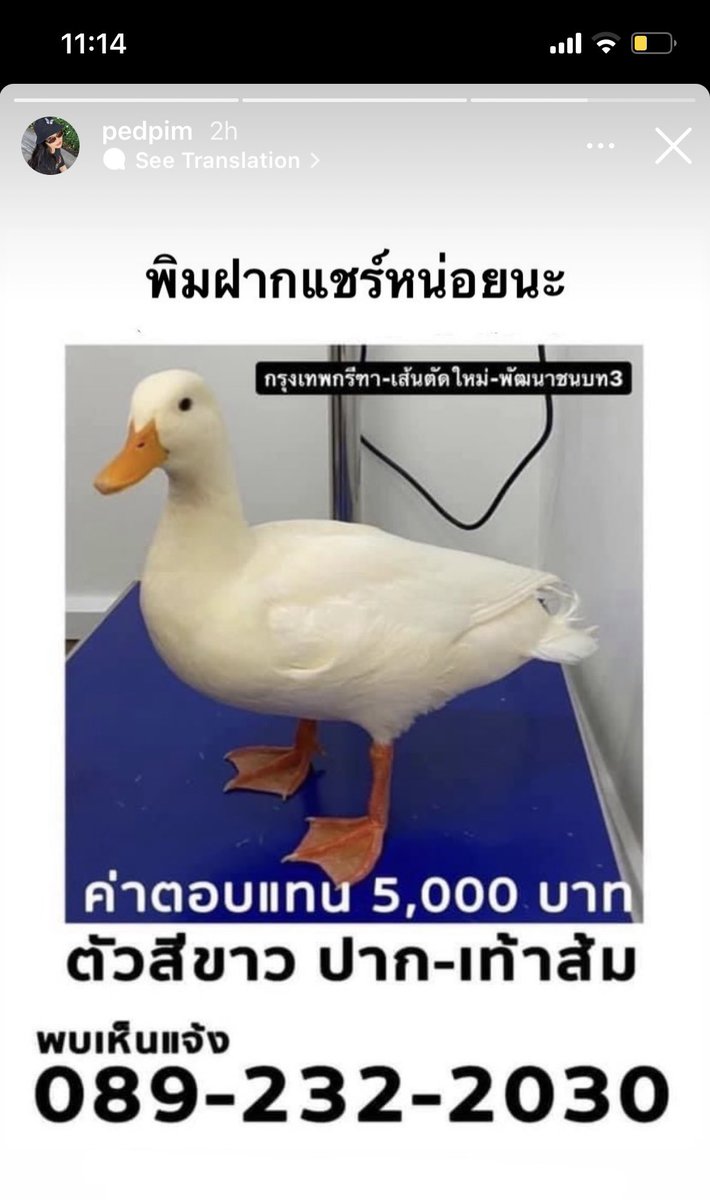 ファー ⋆˚꩜。 (slow) tweet media