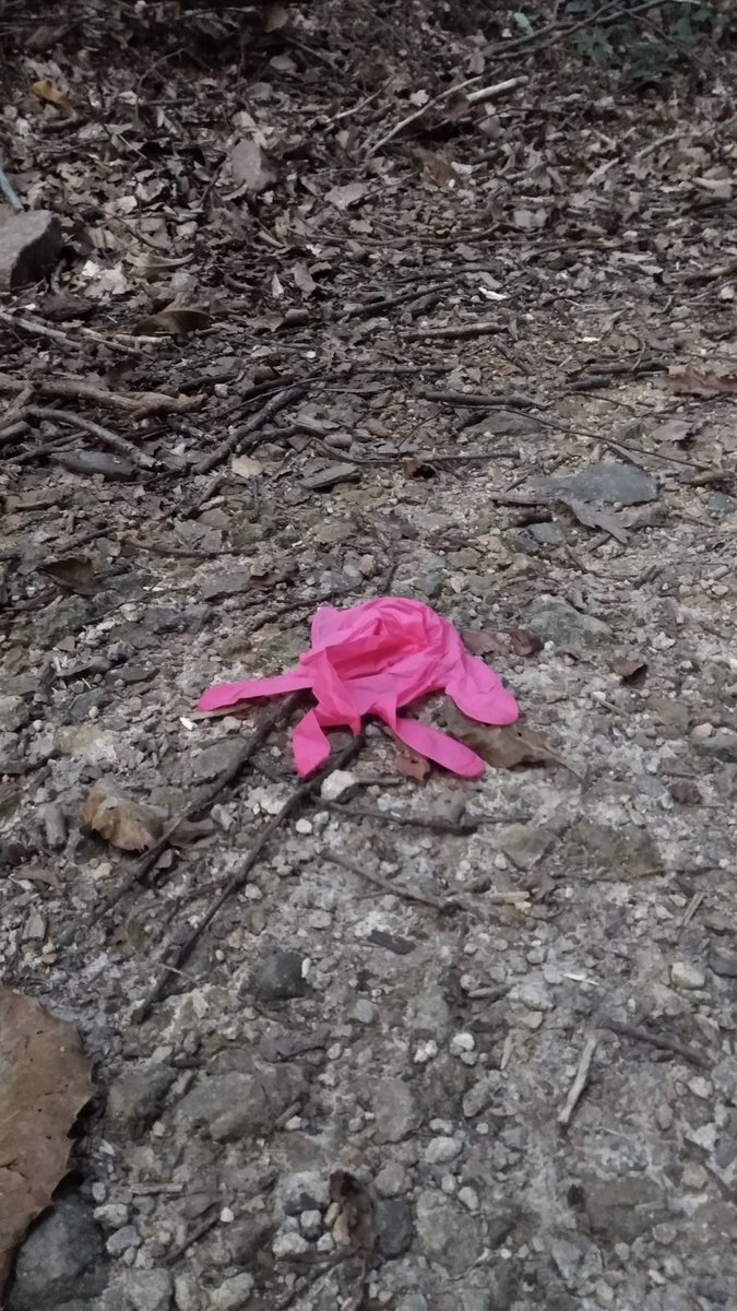 micha_mat's tweet photo. Wer rosa Handschuhe auf'm Waldweg verliert, macht nochmal genau was damit? Hier? https://t.co/L4rOJxOXqR