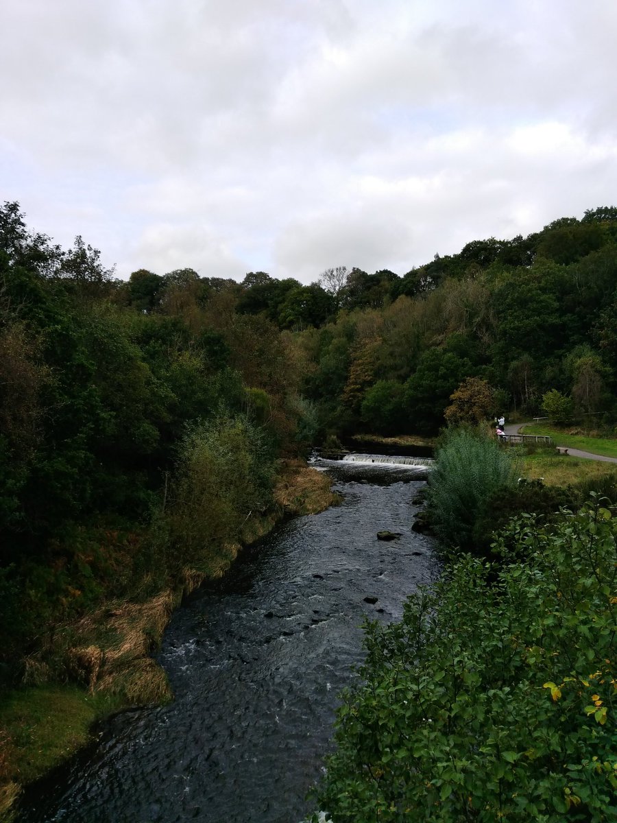 saskate1971's tweet photo. @HWBGateshead getting those steps in 👟👟 #qesteps great walk on the derwent today https://t.co/71ngmpFQg6