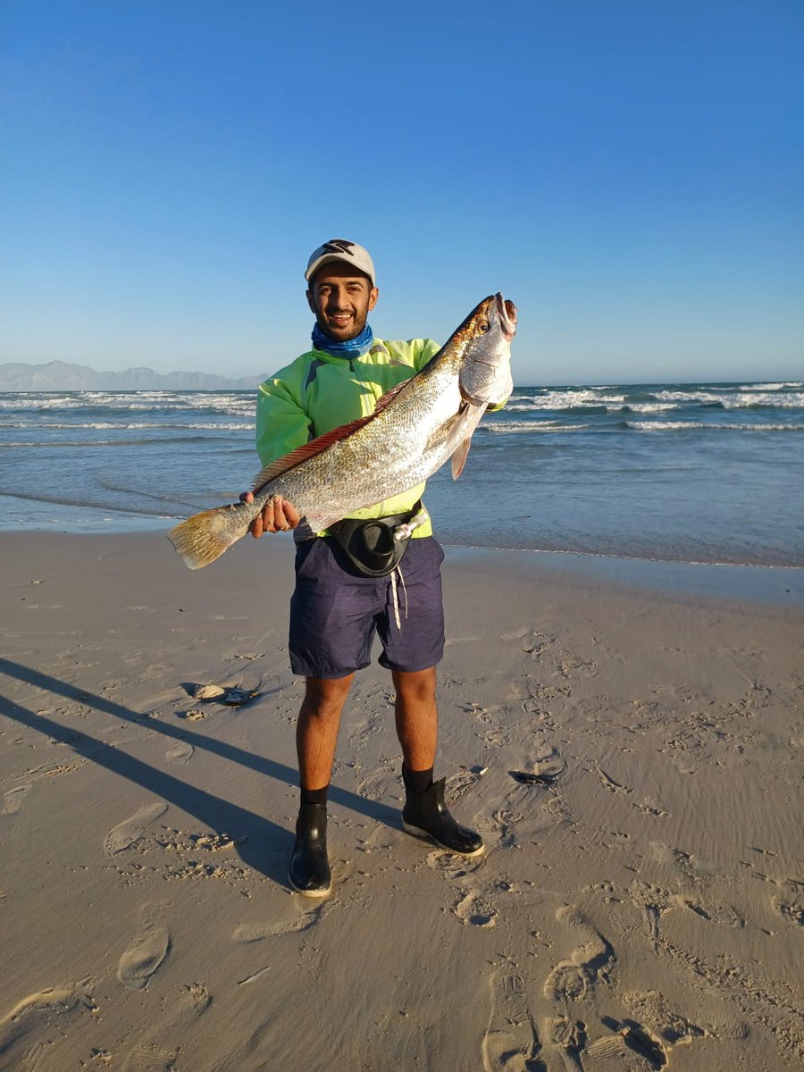 Yasser Mowzer tweet media