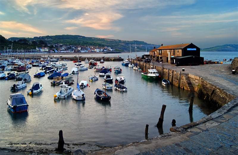 LymeCalendar's tweet photo. Lyme Regis Calendar 2022 purchase online at https://t.co/ZLcJN5XqXF
Price £9.99,  UK delivery charge £2.25, outside UK delivery charge from £4.99, depending on region.
#lymeregis,#lymeregiscalendar,
#lymeregiscalendar2022, #dorset
#calendars,#westcountrycalendars https://t.co/qLq0kiSrQO