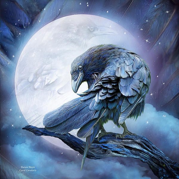 "I think that maybe I don’t need to know
Everything anyway
Except that love is real 
Realer than death or distance 
And sometimes all I need to do
Is just stand here (and breathe)
Under the gaze of trees much older than any of us."

~Jacob Nordby~