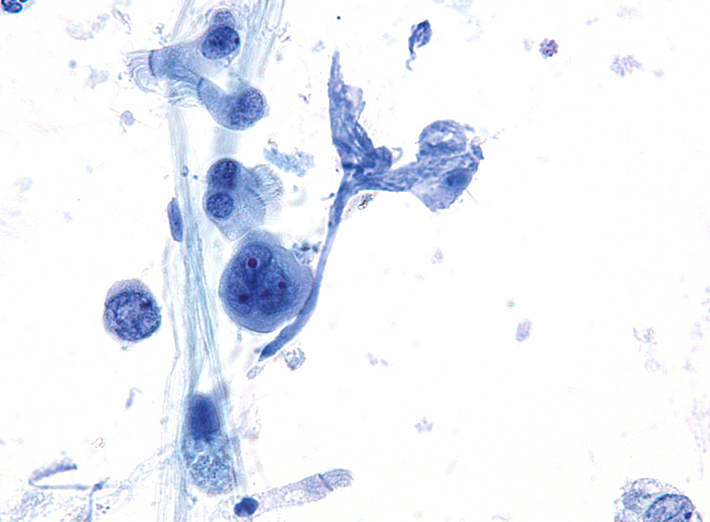 Syed Z. Ali tweet media