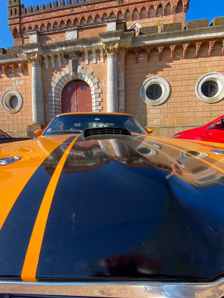 LEONOR HERNANDEZ (@the_view_of_leo) on Twitter photo 