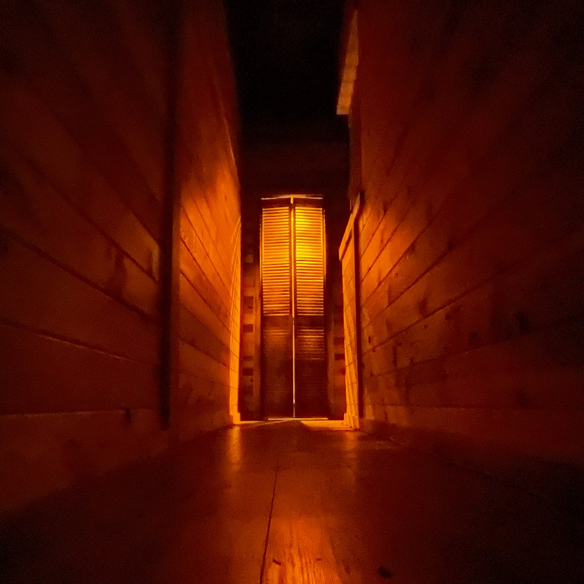 tgerpf's tweet photo. What is hidden deep within the cabin walls? Form your search party and venture through the darkness during Mountain Top Murders. #tgerpf https://t.co/RFkyvV0R81