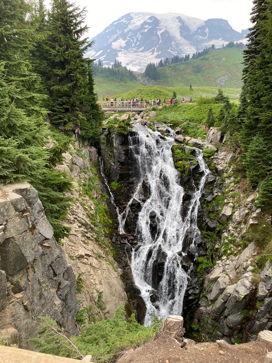 jimse Lin tweet media