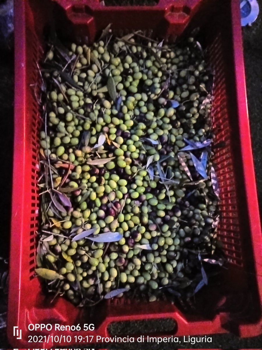 Noi non molliamo, le nostre prime due misure e adessso avanti per tutta la notte ❤️