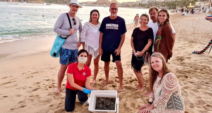 CasaDoradaCabo's tweet image. Amazing experience releasing baby sea turtles with our guests. The Casa Dorada Sanctuary Project has protected more than 3,000 turtle nests and released more than 350,000 offspring into the sea.🐢 🌊❤️ #SeaTurtle #SeaTurtleRelease #SeaTurtleProtection #MedanoBeach #CasaDoradaCabo