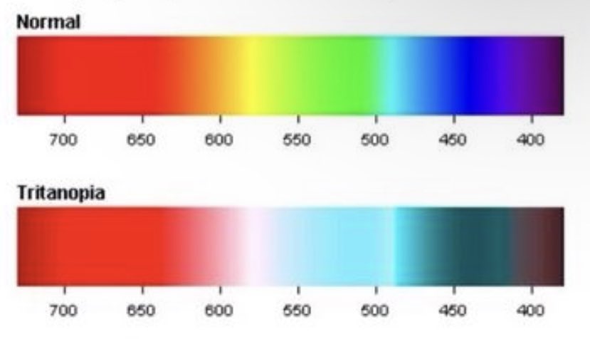 //this is how feliks sees colour 🕺💃