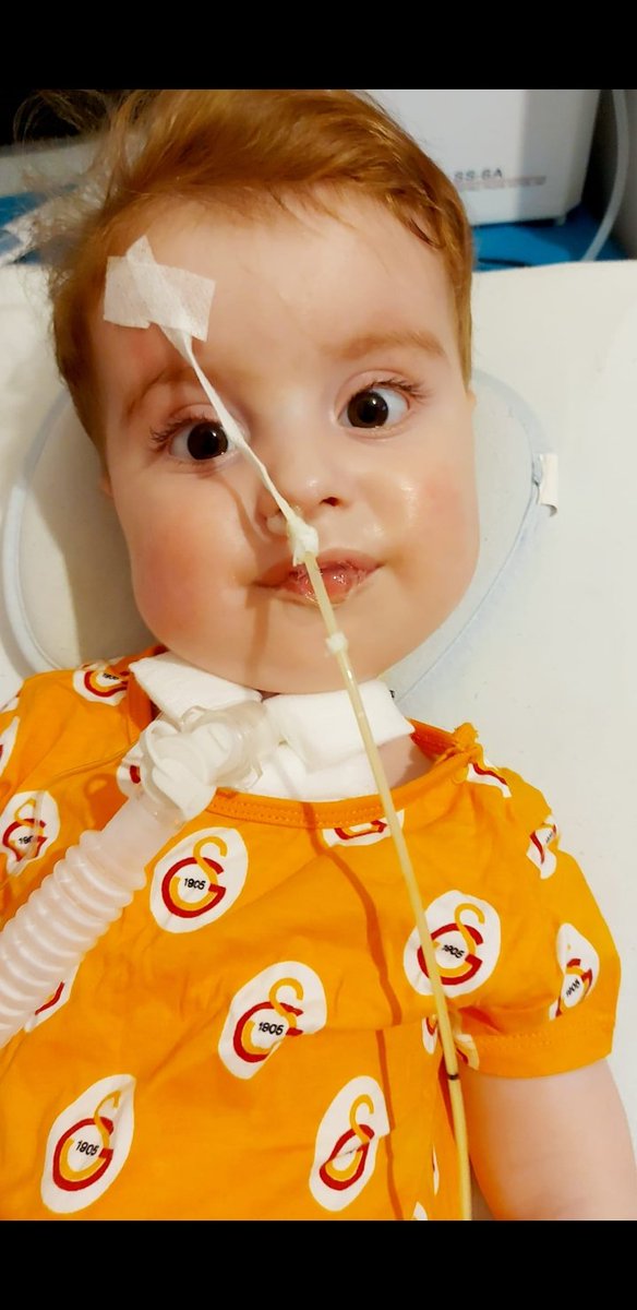 Sizlerin sayesinde bugüne kadar geldik son kez sizlerden destek bekliyorum benim nefes almam için sizlere şuan çok ihtiyacım var elimden  tutarmısıniz  💙❄
#zorlaşıyor #ÇemberDaralıyor #BüyükUyanışİzmir #apology_olivertree Portekiz'i 6-0 Hamsi Nihal Yalçın Alex Hamilton