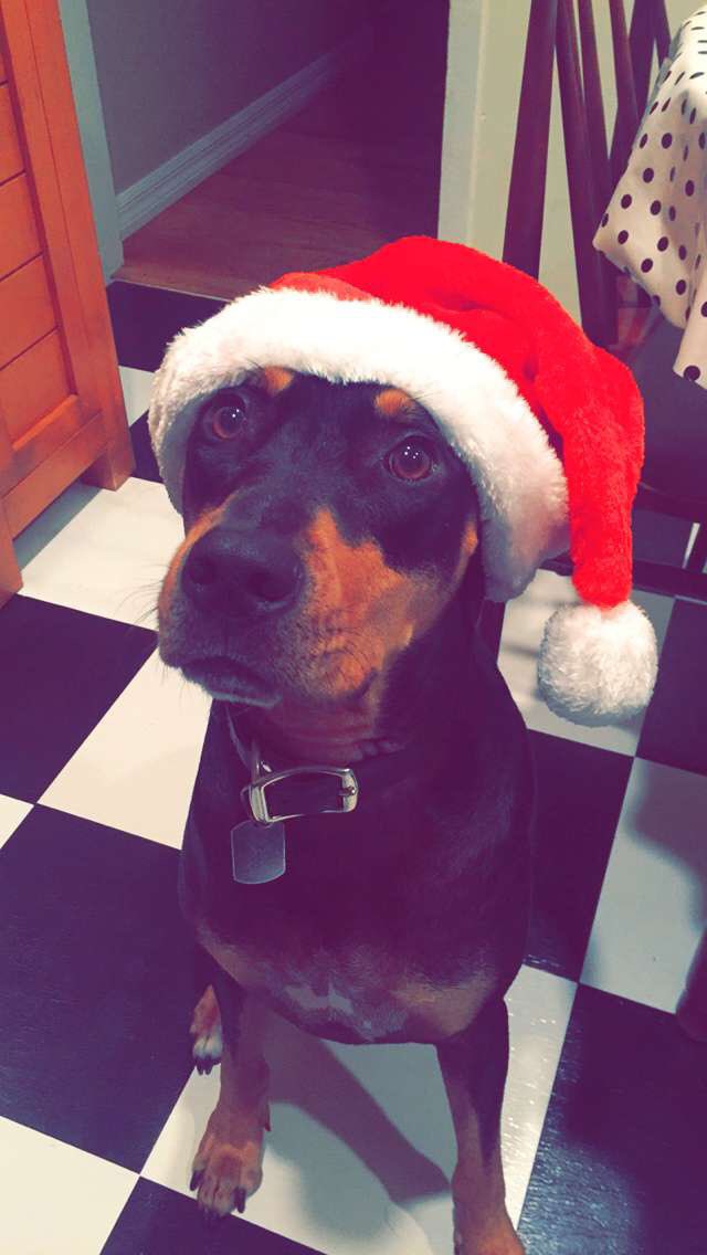 brenda bernard tweet media