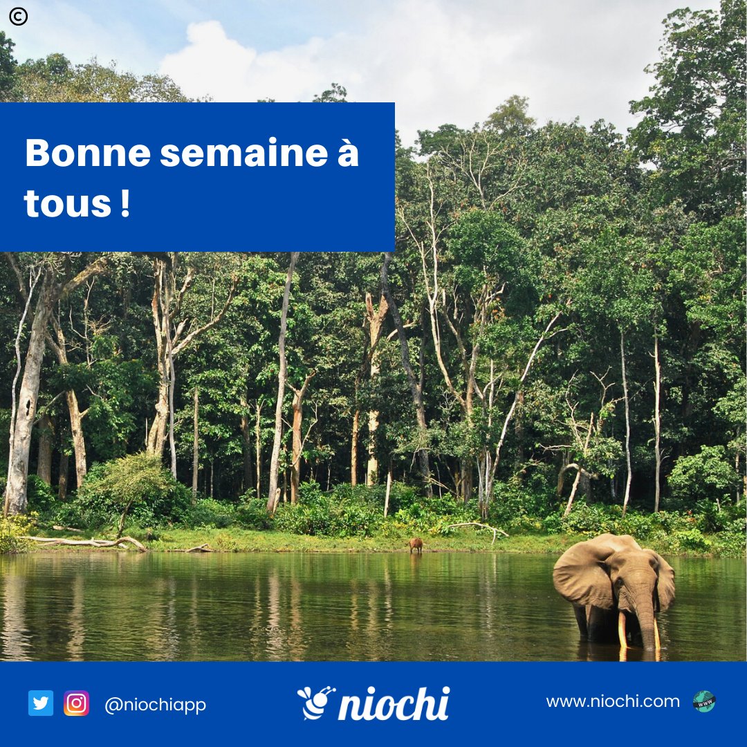 niochiapp's tweet photo. "Soyez cette lumière pour le monde, que vous avez un jour souhaité avoir dans vos jours les plus sombres."

#quote #mondaythoughts #mondayvibes #MondayMorning https://t.co/cPZLApWrz9
