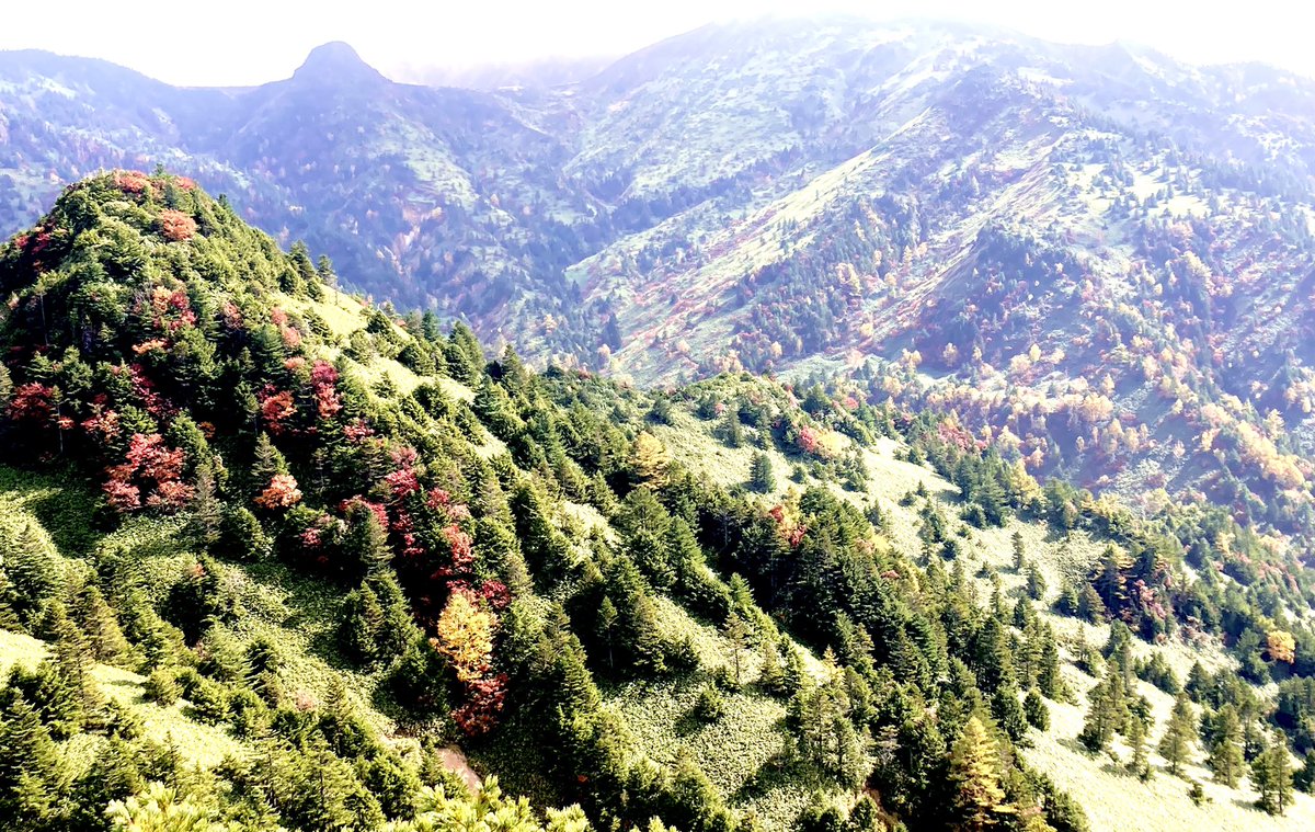 岩﨑知子 横手山のぞきの紅葉 スノーシーズン待ち遠しいけど 時間が止まった美しさだった 紅葉シーズン 志賀高原 横手山のぞき