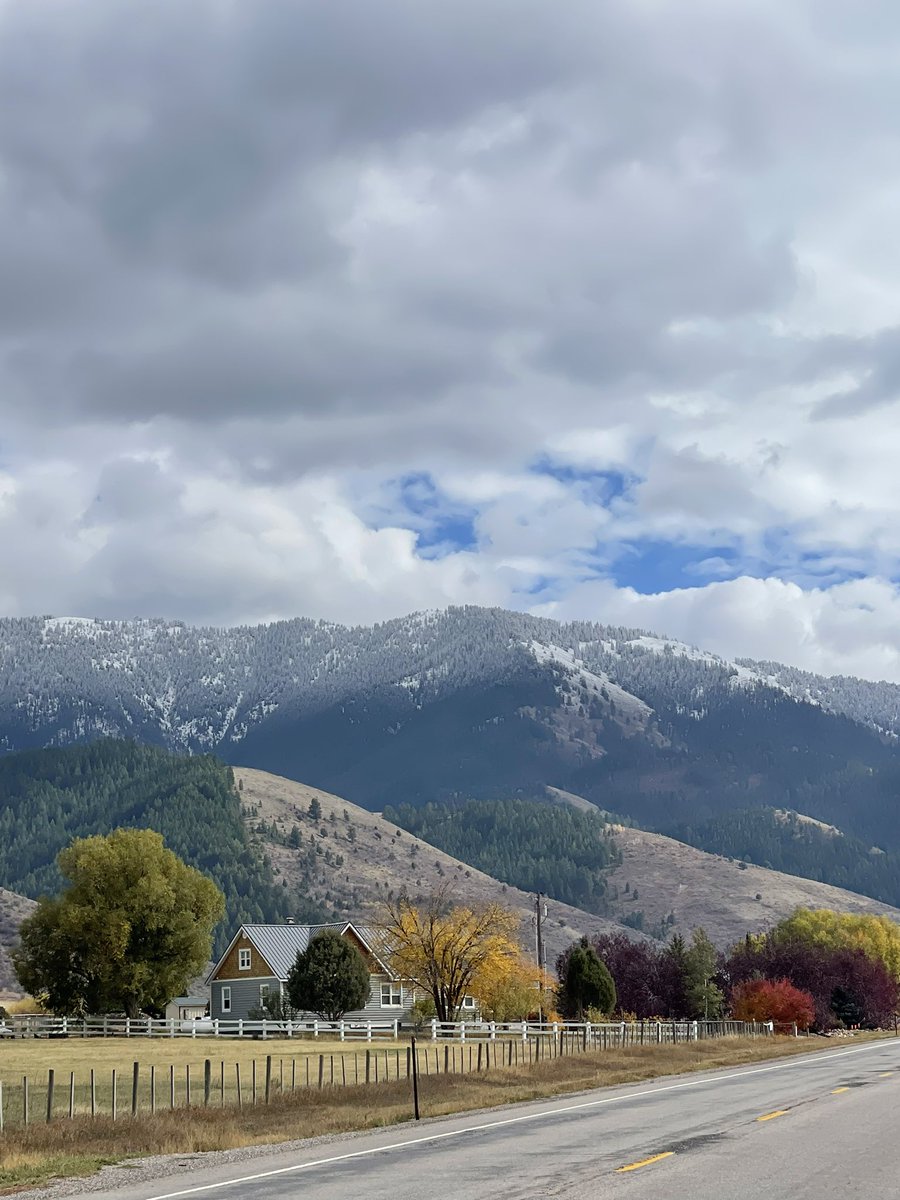 Tatiana Koffman tweet media