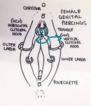 #piercings #piercing #tattoos #tattoo #pierced #alternative #bodypiercing #makeup #piercer #goth #alternativegirl