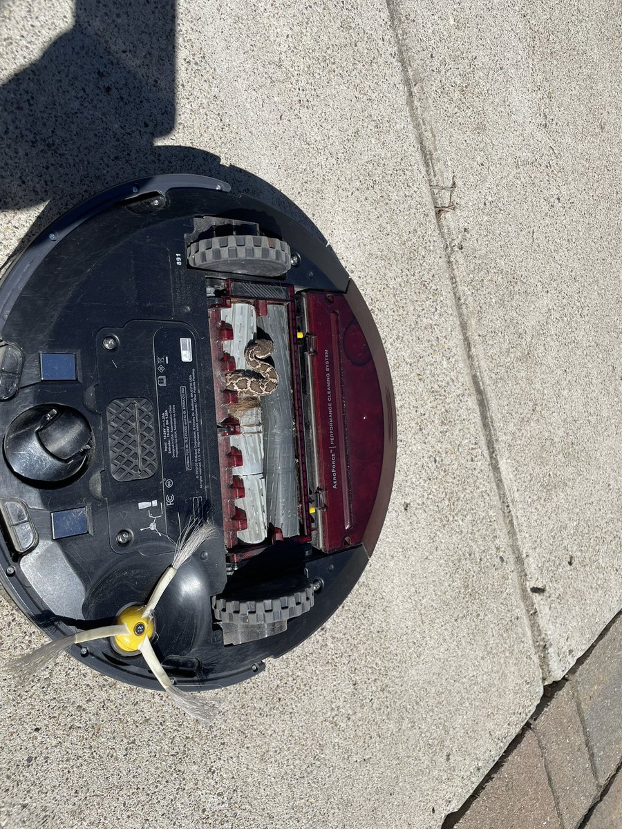 Sara_Miceli_'s tweet photo. @iRobot does the warranty cover rattlesnakes? https://t.co/OVDi1Keu1X