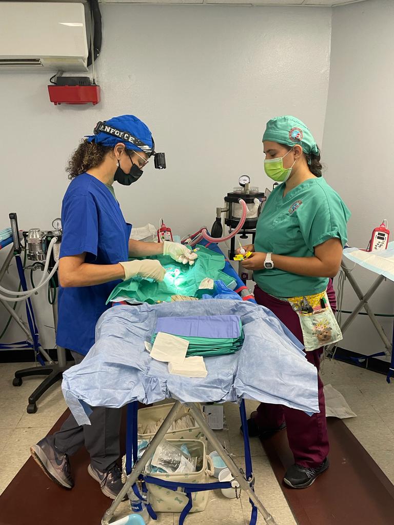 MOSPBA11's tweet photo. #MisiónCumplida fin de semana de esperanza, 135 #Esterilizaciones de gatos #TNR sobre 200 vacunaciones a bajo costo para perros y gatos en Centro Control Animales Gracias #Vetsforpr @SJCiudadCapital que formaron alianza junto a #MOSPBA. A los Voluntarios que dijeron presente. https://t.co/gr4XvZEiVf