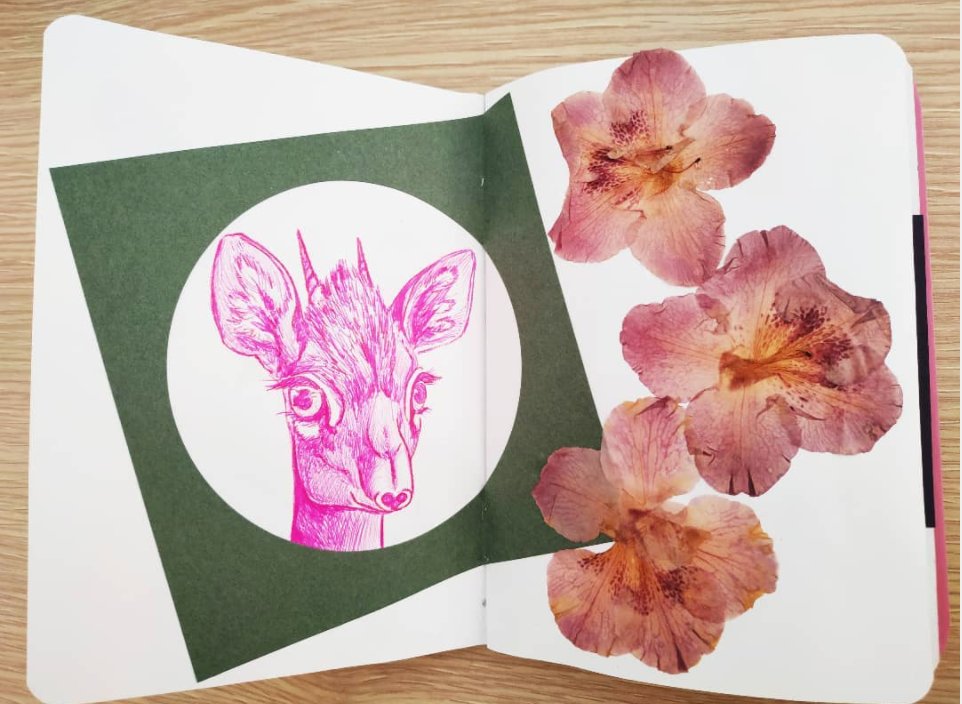 A sneak peek into @greygiulia's sketchbook 🦌🌸