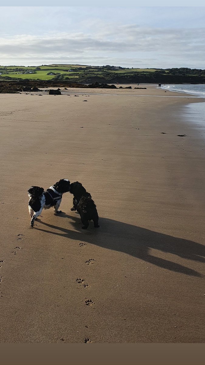 Utility & Transmission Survey Solutions tweet media