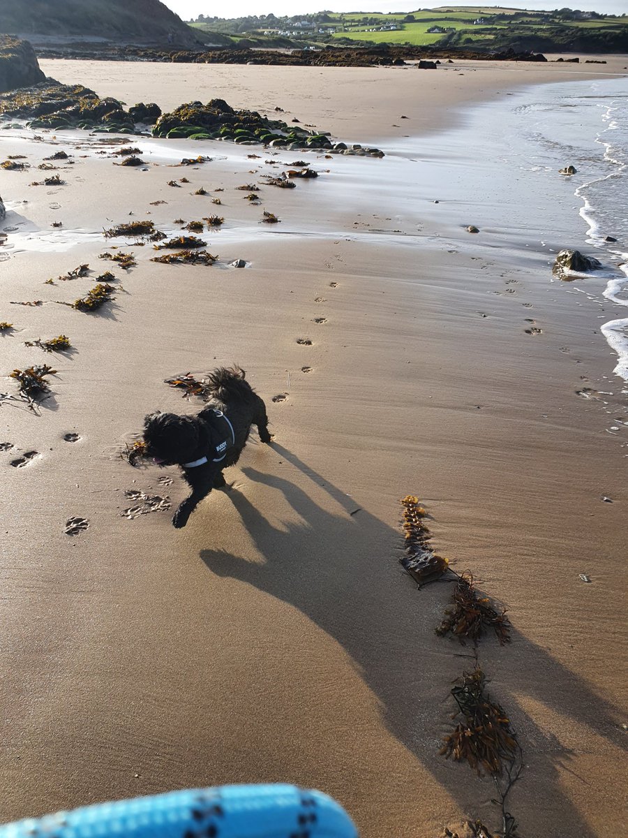 Utility & Transmission Survey Solutions tweet media