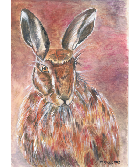 MogRagga's tweet photo. Good Evening #CelebsForSmallBiz. I hope you're all well. I'm lucky to be part of a collaboration with @LAInkPrintingS1 . These are some artworks soon to be available as framed prints because of Lucy's patience and determination.💚#StrongerTogether #MHHSBD https://t.co/mWr8Oh1A4z