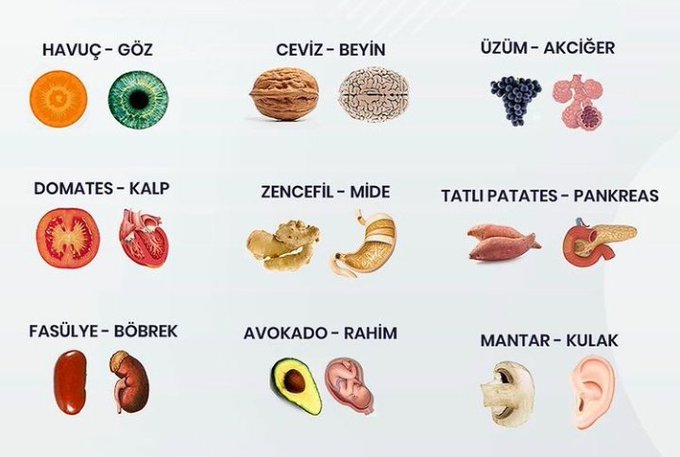 Saglik_ve_Spor's tweet image. Bu gıdalar benzediği organa iyi geliyor...