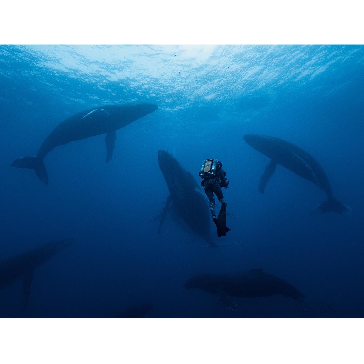 Tonight is a special night for me not just because I got to be part of an amazing series by @silverback_films narrated by @sirdavidattenborough but because I look back at 18 year old Katy and I can smile and say you did it. You had a dream and you followed it 🤙 #thematingame