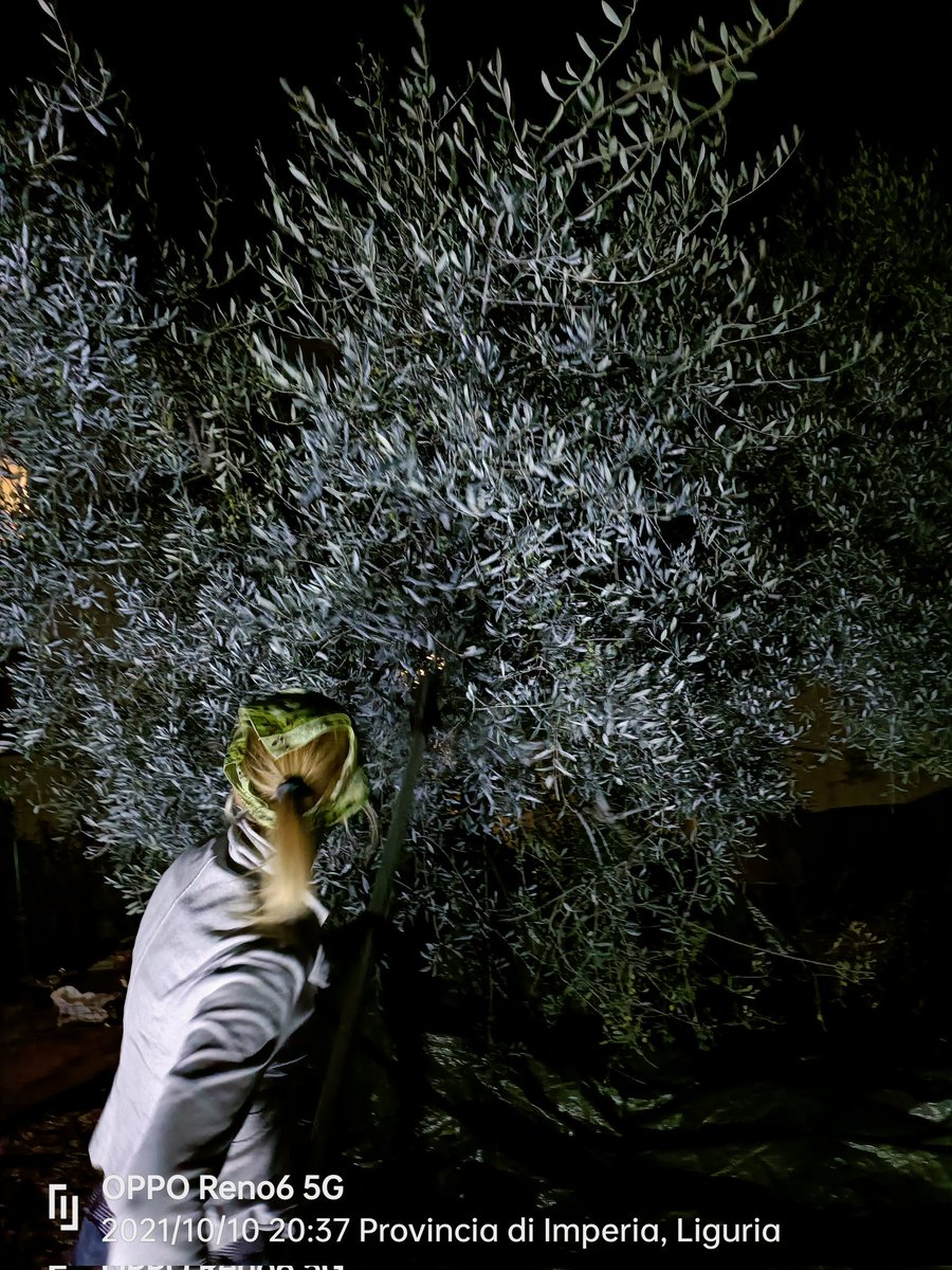 Si va avanti per tutta la notte alternandoci