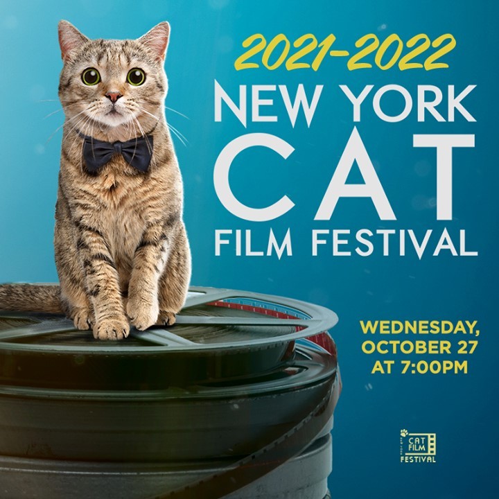 The annual NY Cat Film Festival, a collection of short films celebrating our relationship with the mysterious felines who share our world, returns to #LandmarkTheatres on Wednesday, October 27 at 7:00pm!  Get Tickets: fal.cn/3iVDz