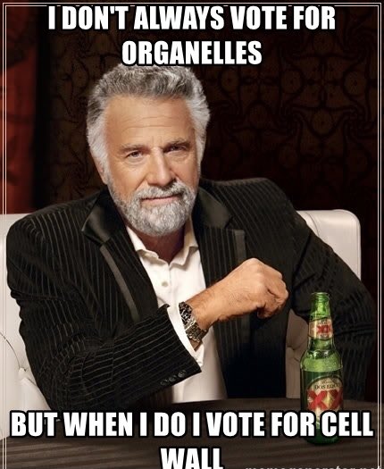 CWICJECM's tweet photo. Vote for the cell wall! We’ve been keeping the cell safe since the beginning! https://t.co/iByjWc5Afq