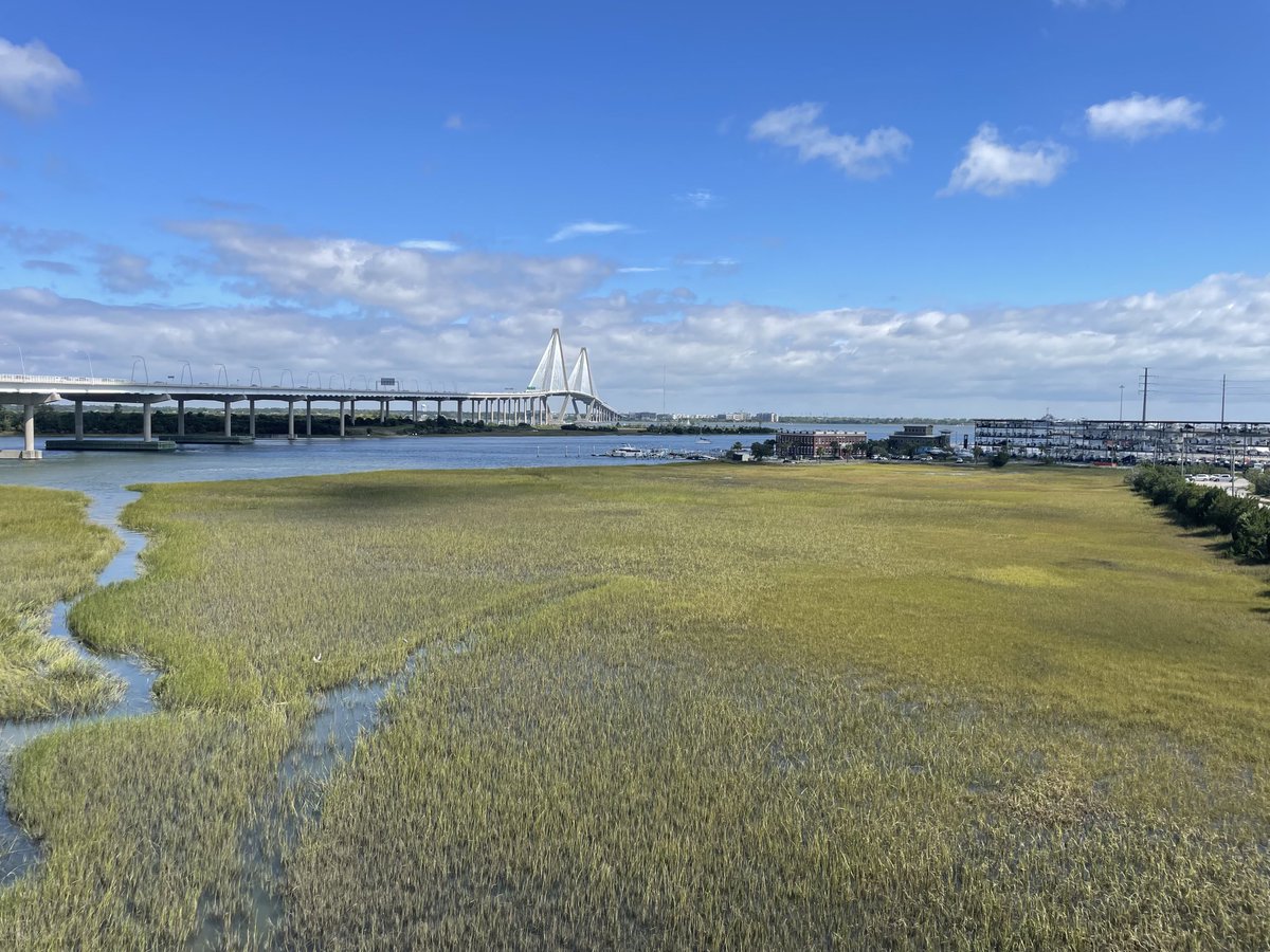 Keith Thornhill tweet media