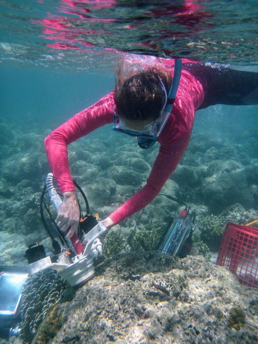 At <a href="/Eaterofsun/">Oliver Morton</a>'s request I did a back-of-envelope calculation.

If no mistake, the rate of #oceanAcidification from CO2 uptake by the ocean is approximately equivalent to dumping all the battery acid from every vehicle in the world into the ocean every two hours.