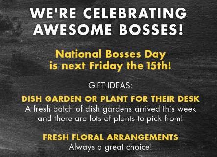 Cole Gardens (@colegardens) on Twitter photo 