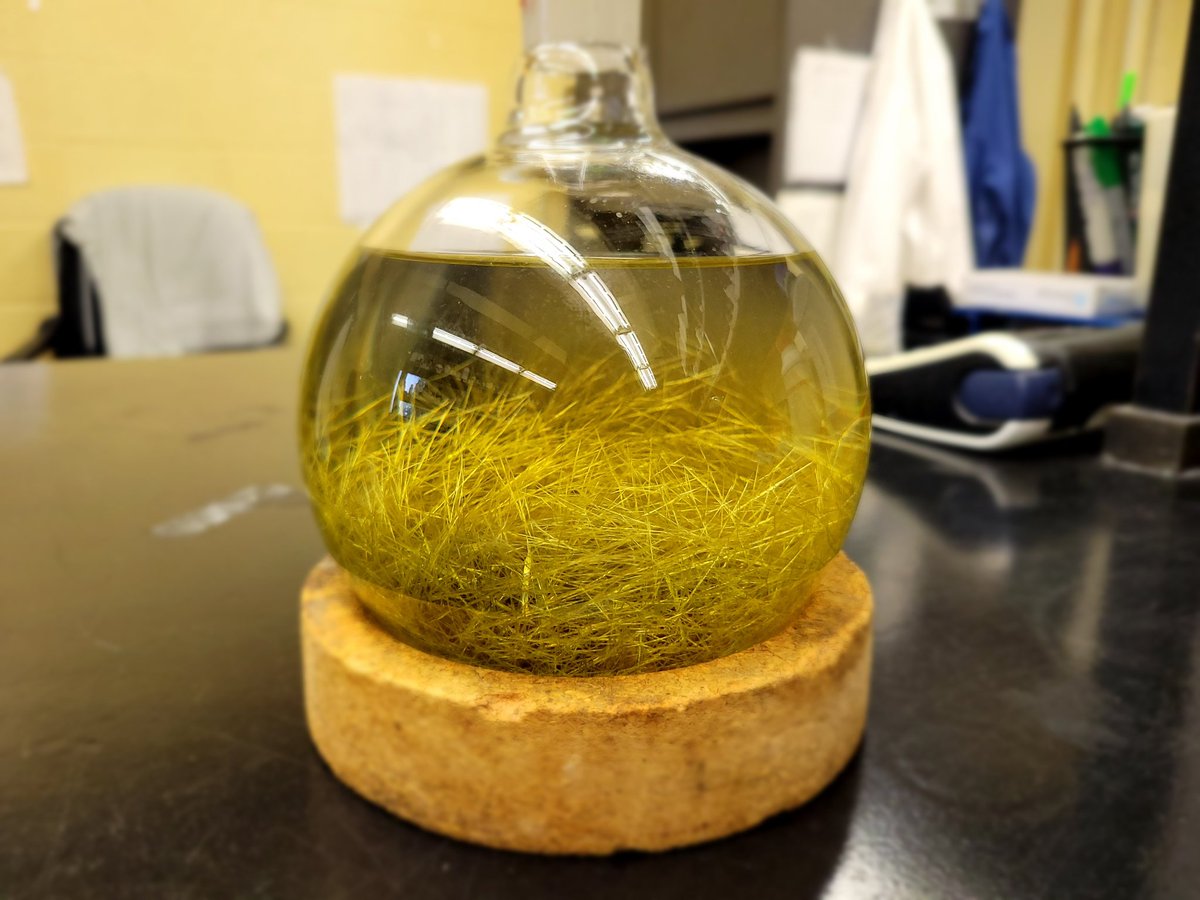 ChengYenPan1's tweet image. The pleasant moment for chemist- recrystallization.

Looks like the seagrass in the fish tank lol

#chemistry #recrystallization un