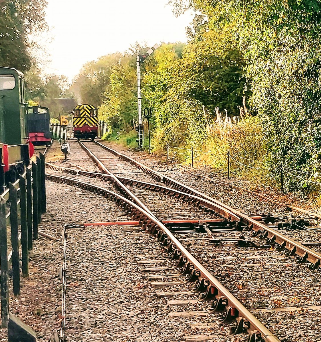DVLR_Murton's tweet photo. BR Class 08 08528 returning after the last train of our 2021 season. #dvlr #murtonpark #heritagerailway https://t.co/0sYZQW3LuR