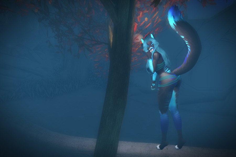 MelynaFoxclaw's tweet photo. Sneaking Out For Some Adventure!

https://t.co/QniMIZp1yA

#SecondLife #FurrySnout #FurryKink #PomBear #NaniBanani #ApricotPaws #Aurora #Sugarcult #FujiwarasWorld #TRUTH #HayabusaDesign #BakesonMesh #NailAppliers #Halloween #spooky #furrylife #furryevents #SLEvents https://t.co/B9tgyhdq8o