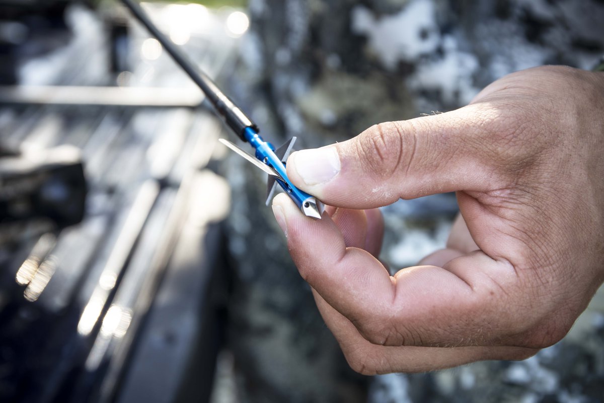 VeteranIP's tweet photo. An American-made broadhead that provides industry-leading recovery rates! πͺ
.
.
#VIPWarrior #VIPAmericanWarrior #VIP #VIPbroadheads #bowhunting #bowhuntinglife #veteranowned #madeinusa #hunting #deerhunting #deerseason #inthefield #gooutside #huntsmart #veteran #vets https://t.co/98l4vpBRiS